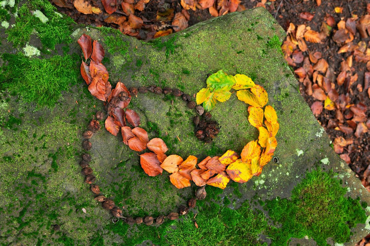 Land Art: Ala Andy Goldsworthy | Event in Osceola | AllEvents