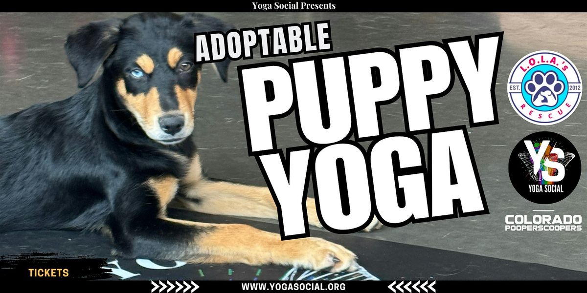 Adoptable Puppy Yoga | Northglenn + Dog Fair!, 6 September | Event in Northglenn | AllEvents