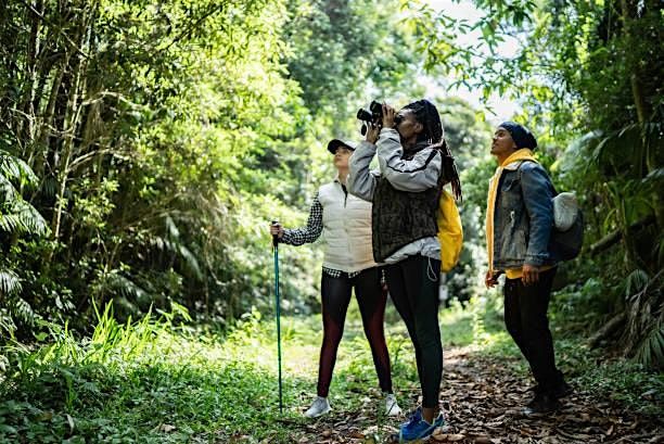 Bird Walk with NH Audubon, 22 August | Event in Danbury | AllEvents