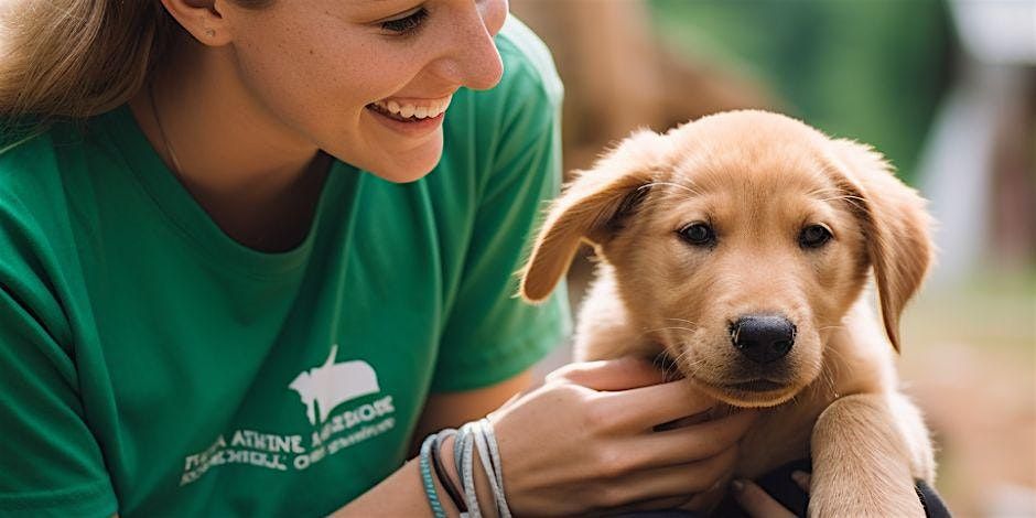 Jeepin For Paws, 23 August | Event in Matteson | AllEvents