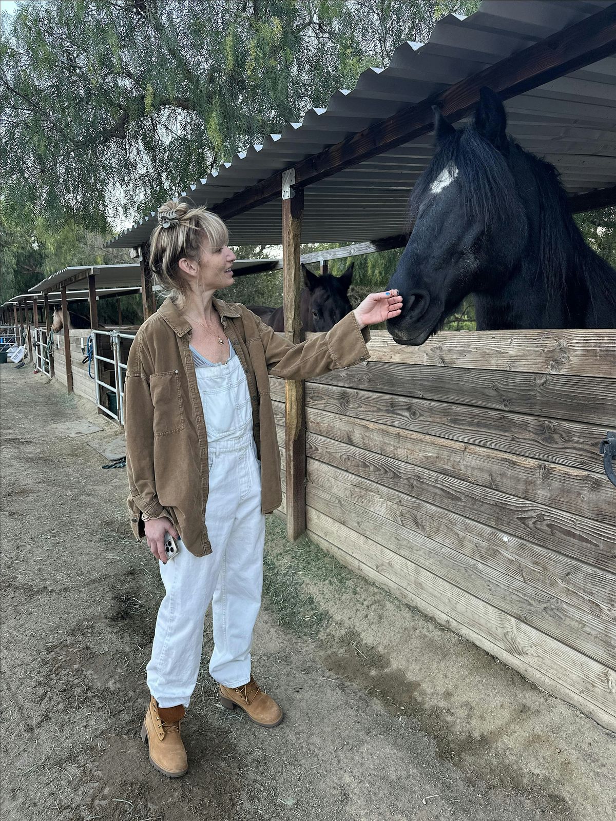 Hatha Yoga with Horses | Event in Agoura Hills | AllEvents