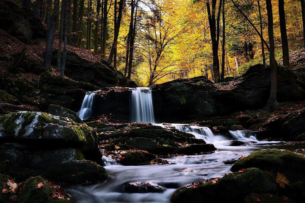 Hope for Recovery, 11 October | Event in Cannon Falls | AllEvents