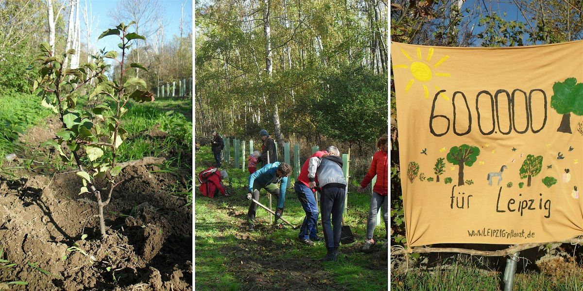 Pflanzaktion im KGV "Flora" Stötteritz, 18 October | Event in Leipzig | AllEvents