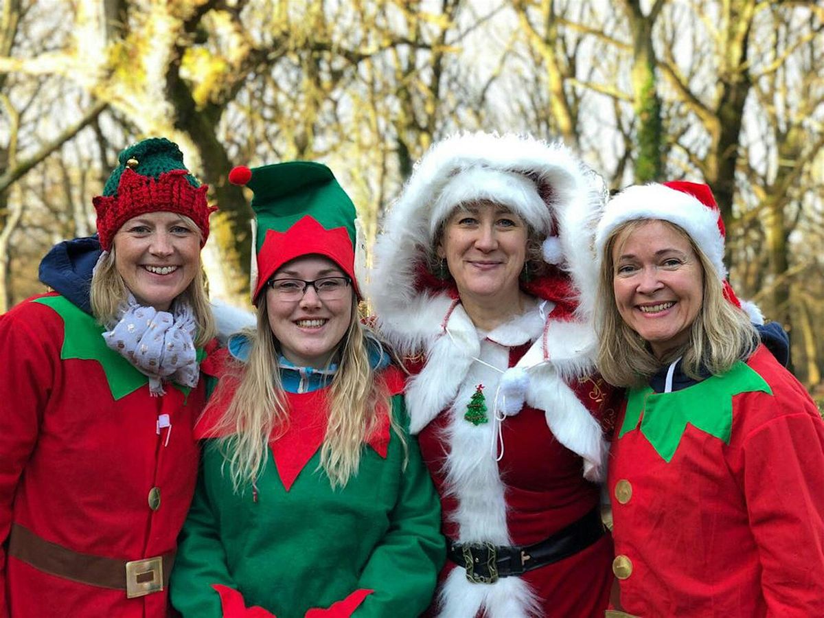 Christmas in the Woods 2025, Nower Wood Educational Nature Reserve