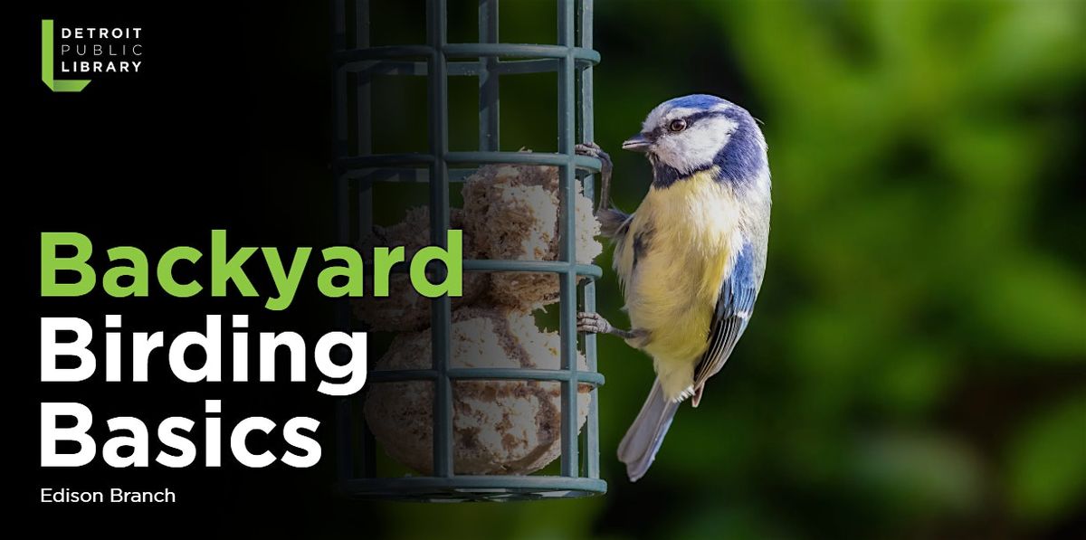 Backyard Birding Basics, 25 August | Event in Detroit | AllEvents
