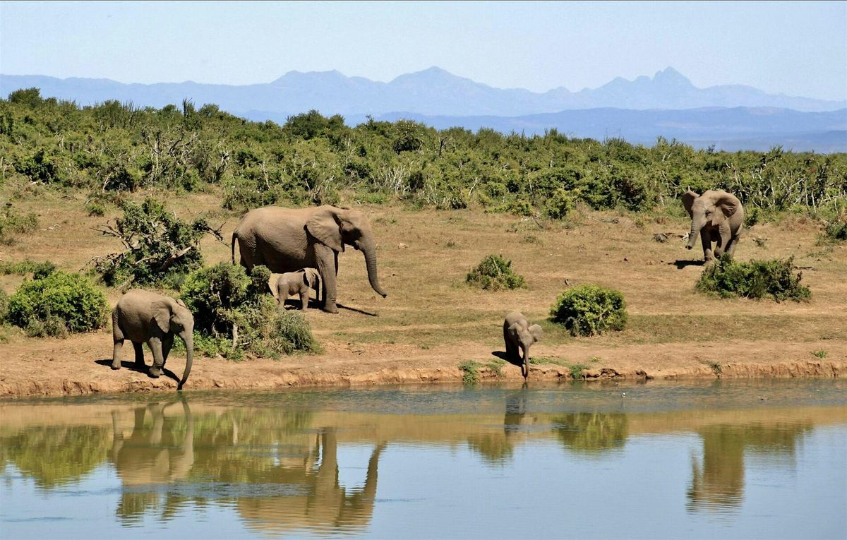 10 Day African Safari, 20 September | Event in Austin | AllEvents
