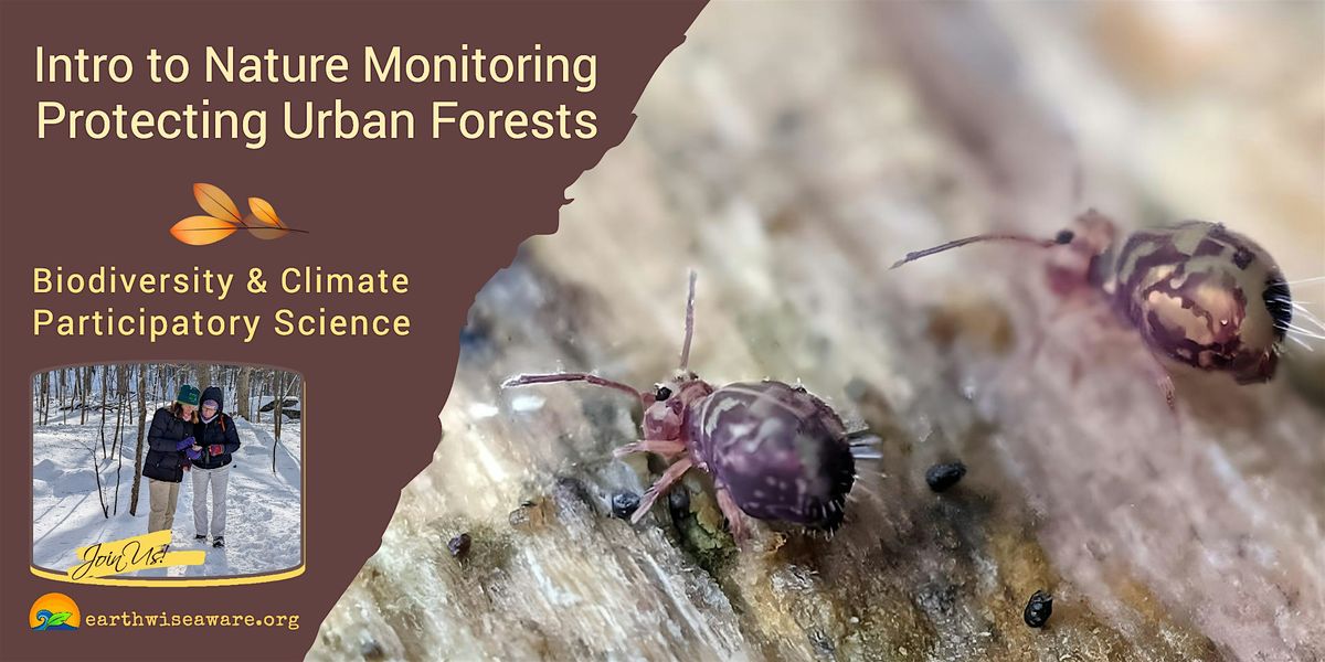Introduction to Nature Monitoring – Protecting Urban Forests, 8 December | Event in Medford | AllEvents