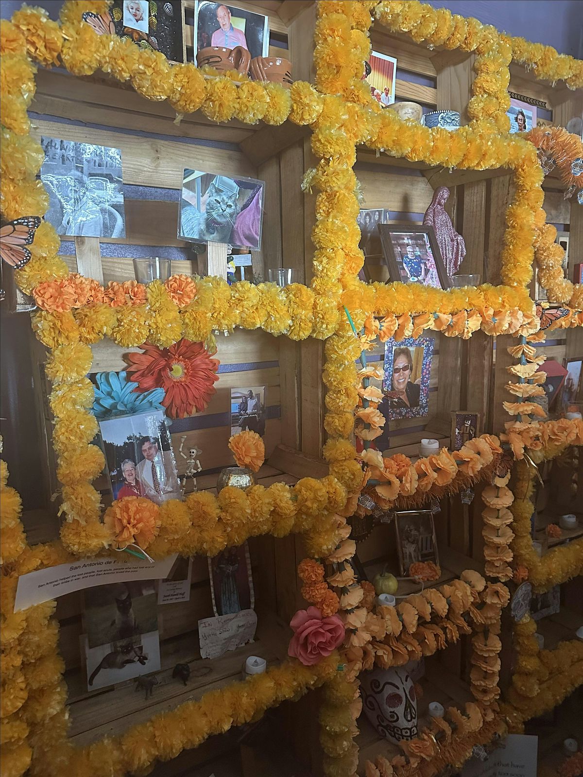 Create your own mini Ofrenda, 18 October | Event in Dunedin | AllEvents