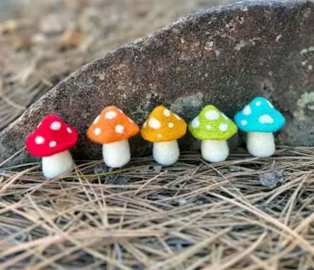 NEEDLE FELTING: MUSHROOMS, 24 August | Event in Monson | AllEvents