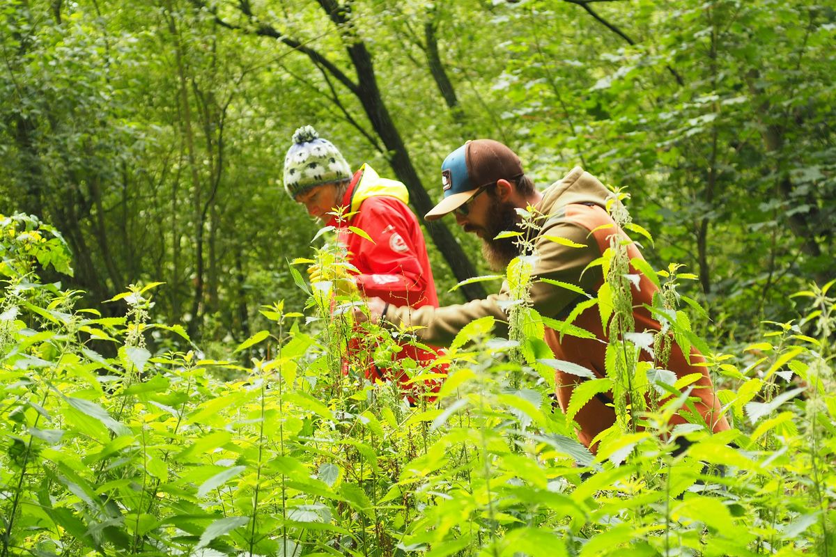 Foraging Course in Suffolk, 24 January | Event in Brandon | AllEvents