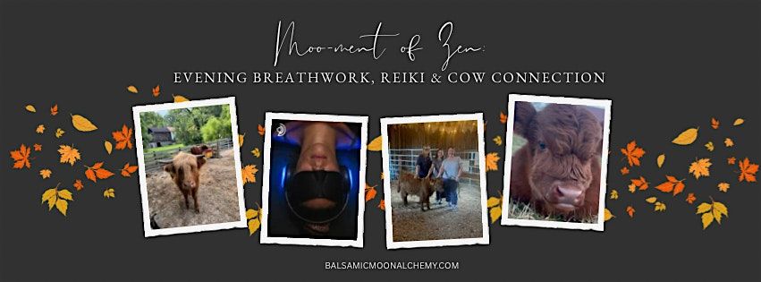 Moo-ment of Zen: 9D Breathwork + Reiki and Cow Cuddles, 24 October | Event in Myersville | AllEvents