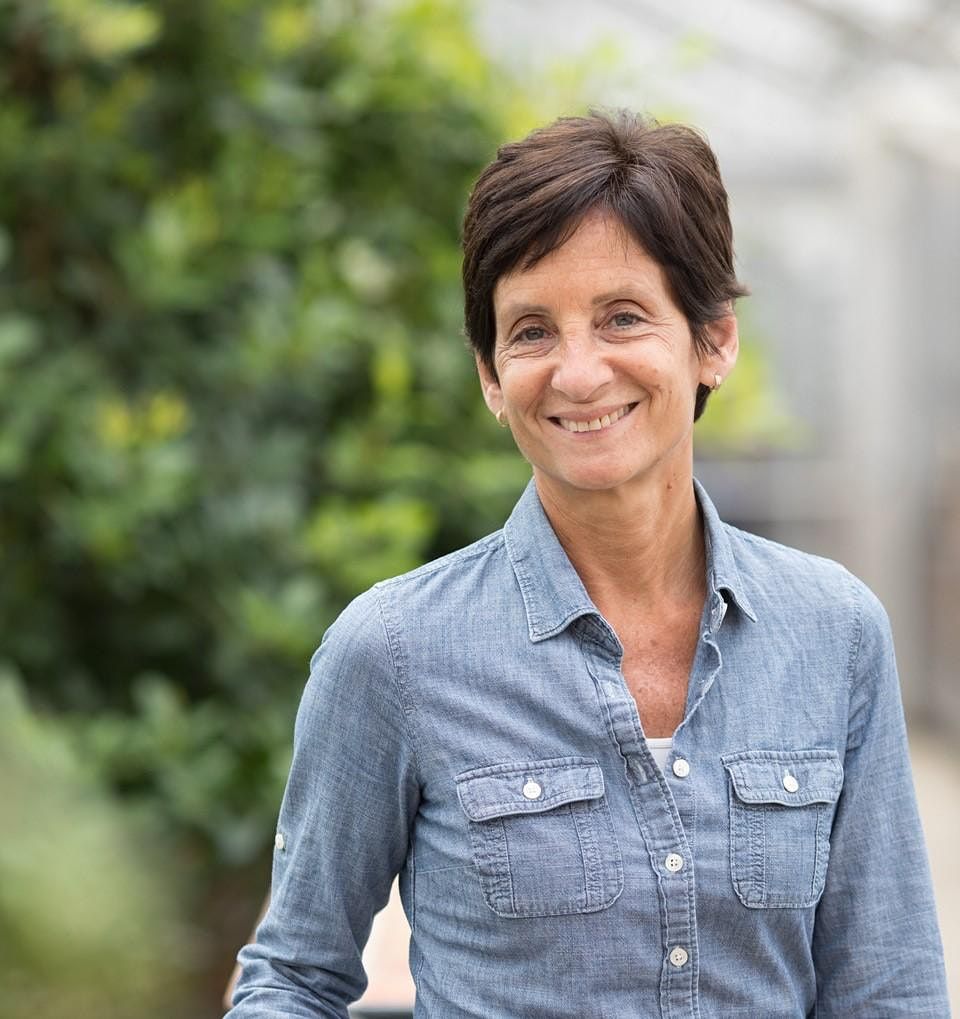 All Events In Maumee Today And Upcoming Events In Maumee Maumee Holiday Hustle 2022 Results