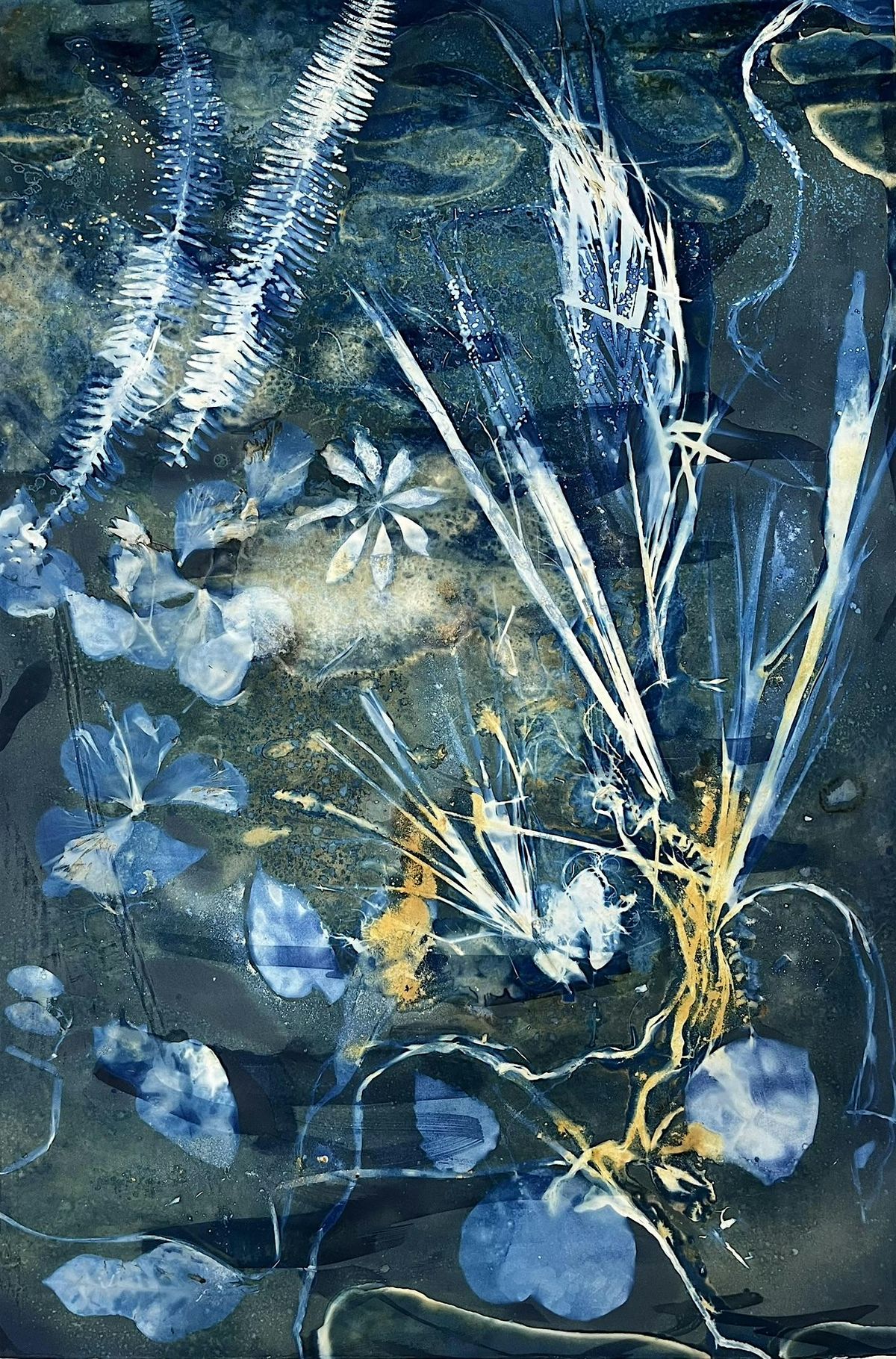 WET CYANOTYPE WORKSHOP, 26 July | Event in Chestertown | AllEvents