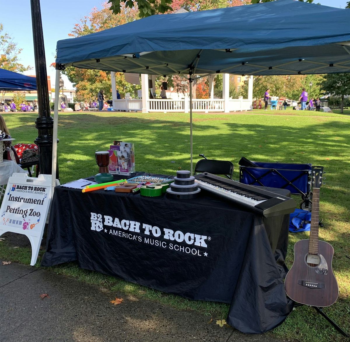 Instrument Petting Zoo at Bacon Library, 6 September | Event in Natick | AllEvents