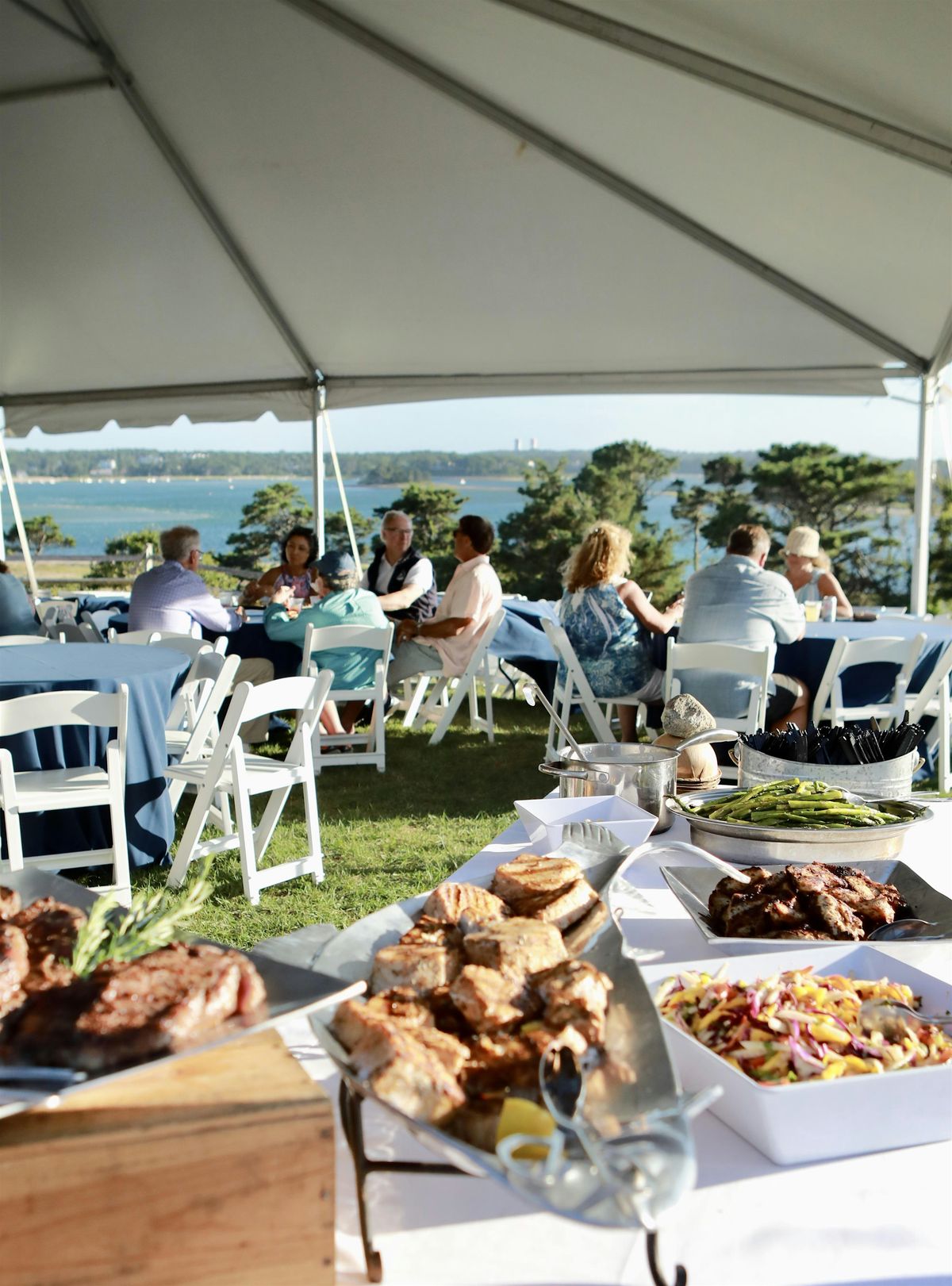 2025 CCF "Be a Force for Nature" Fundraiser, 8 August | Event in Chatham | AllEvents