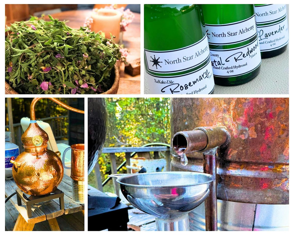 Unlock the Art of Hydrosol Distillation at Oz Farm, 23 August | Event in Manchester | AllEvents