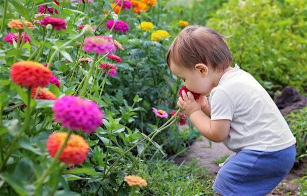 Little Farmers Parent and Me Fall Sessions 2025 September - December, 8 September | Event in Westport | AllEvents