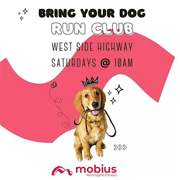 Dog Run Club, 16 August | Event in New York | AllEvents