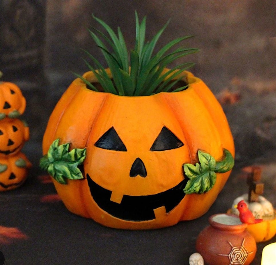 Create Your Own Mini Pumpkin Planters, 12 October | Event in Andover | AllEvents