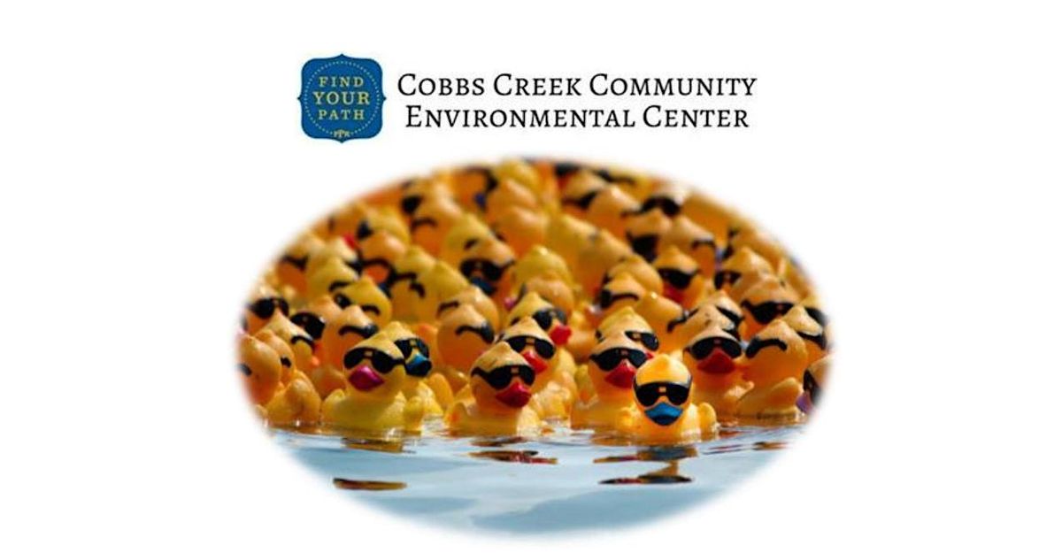 Annual Duck Race, 18 October | Event in Philadelphia | AllEvents