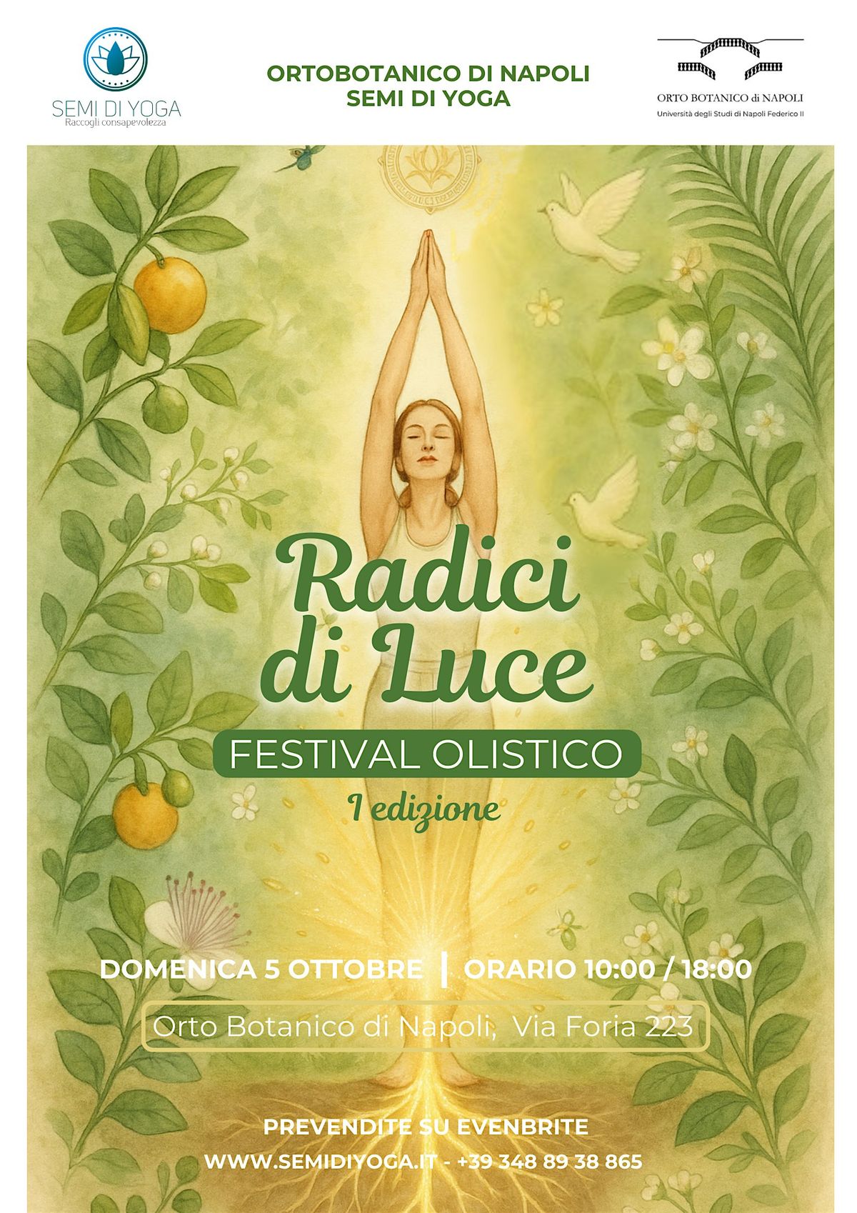 Radici di Luce Festival