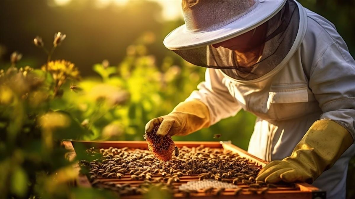 Hive to Table luncheon, 1 November | Event in Riverhead | AllEvents