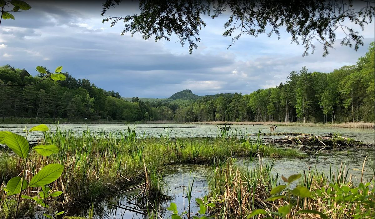 LGBTQ+ Eco-HIke: Spring Peepers Sunset Hike (Great Barrington, MA), 18 May | Event in Great Barrington | AllEvents