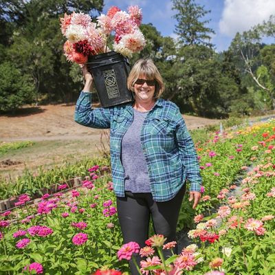 Tammy Bloom