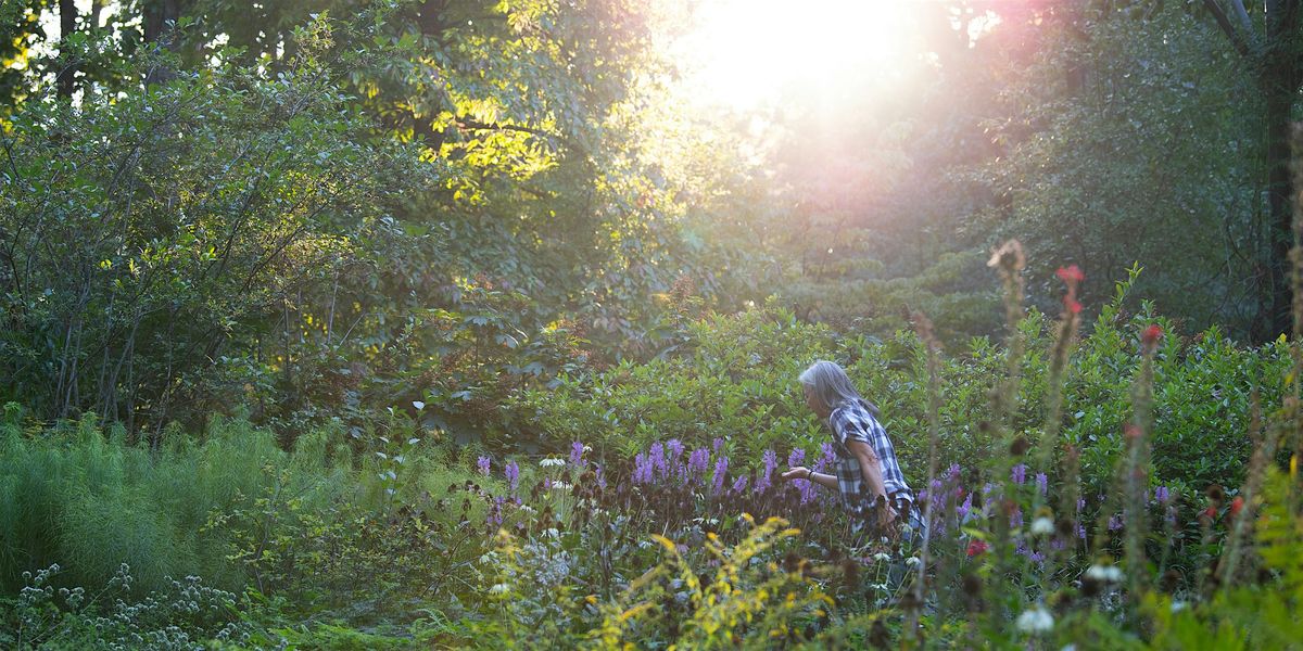 Mindfulness Meditation Walk (10/11), 11 October | Event in Devon | AllEvents