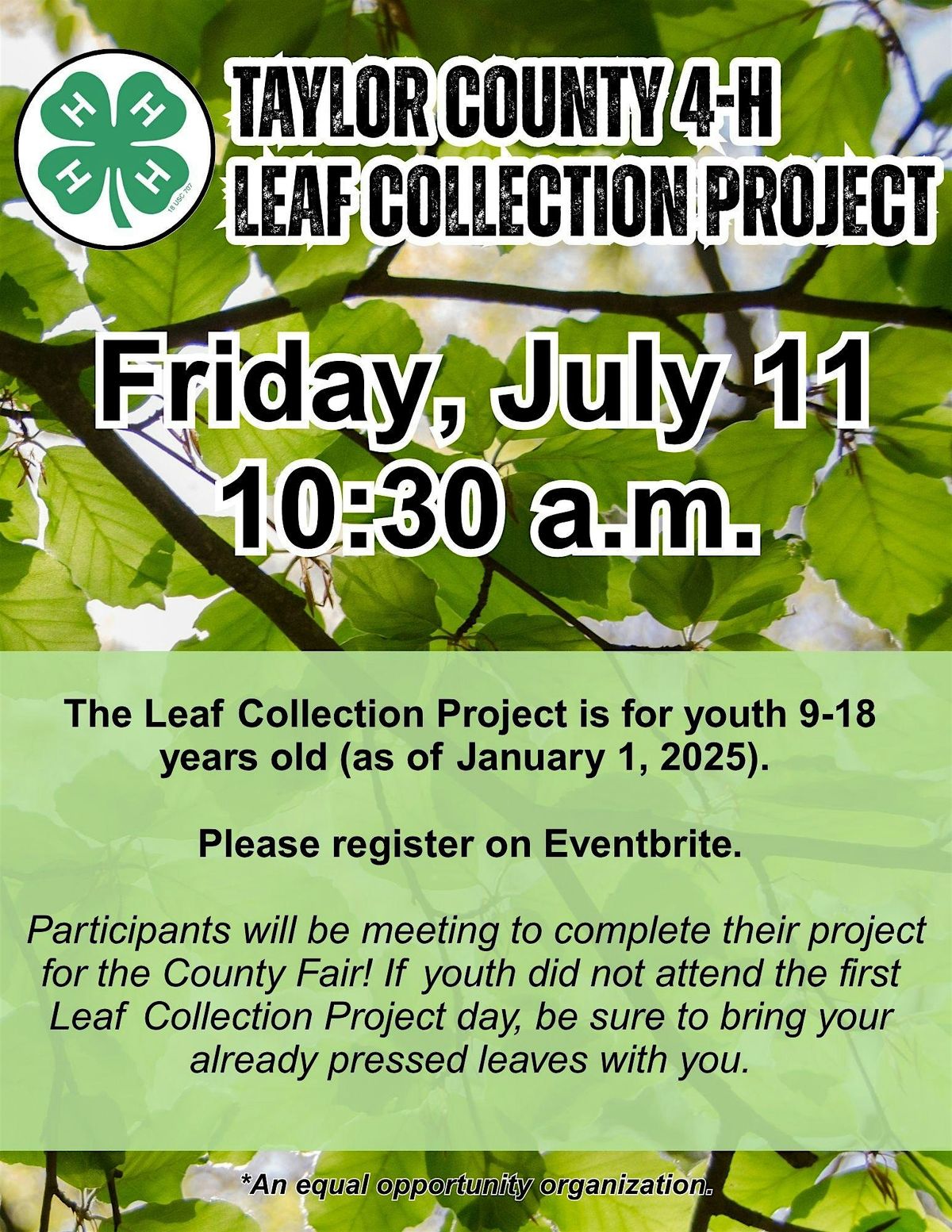 Leaf Collection Part 2, 11 July | Event in Campbellsville | AllEvents