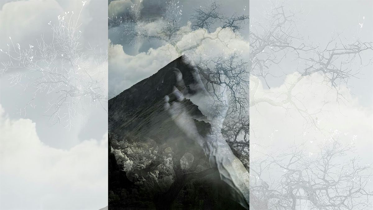 Finding Beauty by David McElwee • Donors Gallery | Event in San Rafael | AllEvents