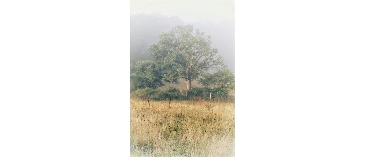 NU Ideas | Season 4 Talk 5 | Rewilding  & limits of Universality, 19 March | Event in Newcastle Upon Tyne