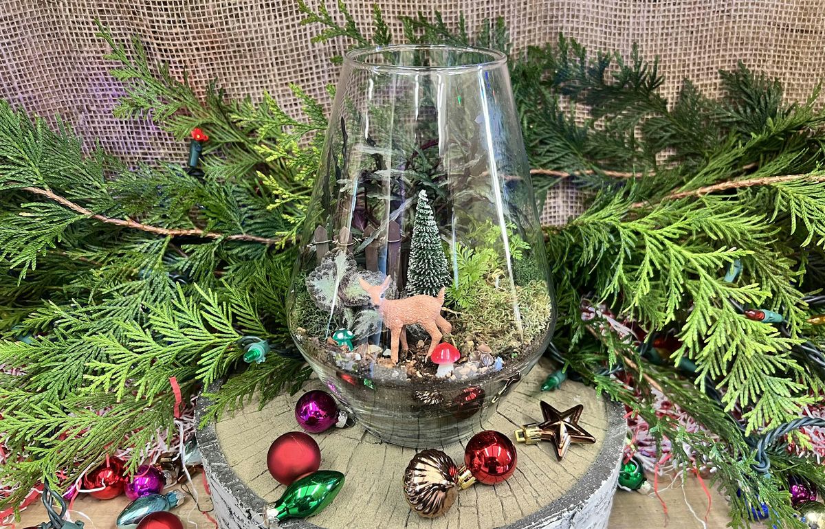 Terrarium Workshop – A Fun Holiday Make & Take 2025!, 13 December | Event in Weaverville | AllEvents