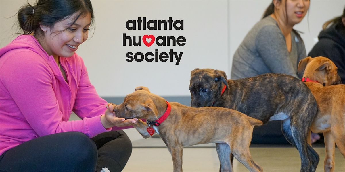 Puppy Yoga, 10 May | Event in Atlanta | AllEvents