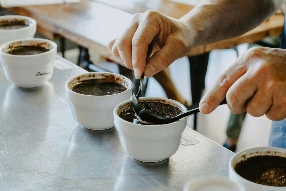 Intro to Coffee Cupping: Process & Tasting Workshop at Seattle Coffee Gear, 6 July | Event in Kirkland