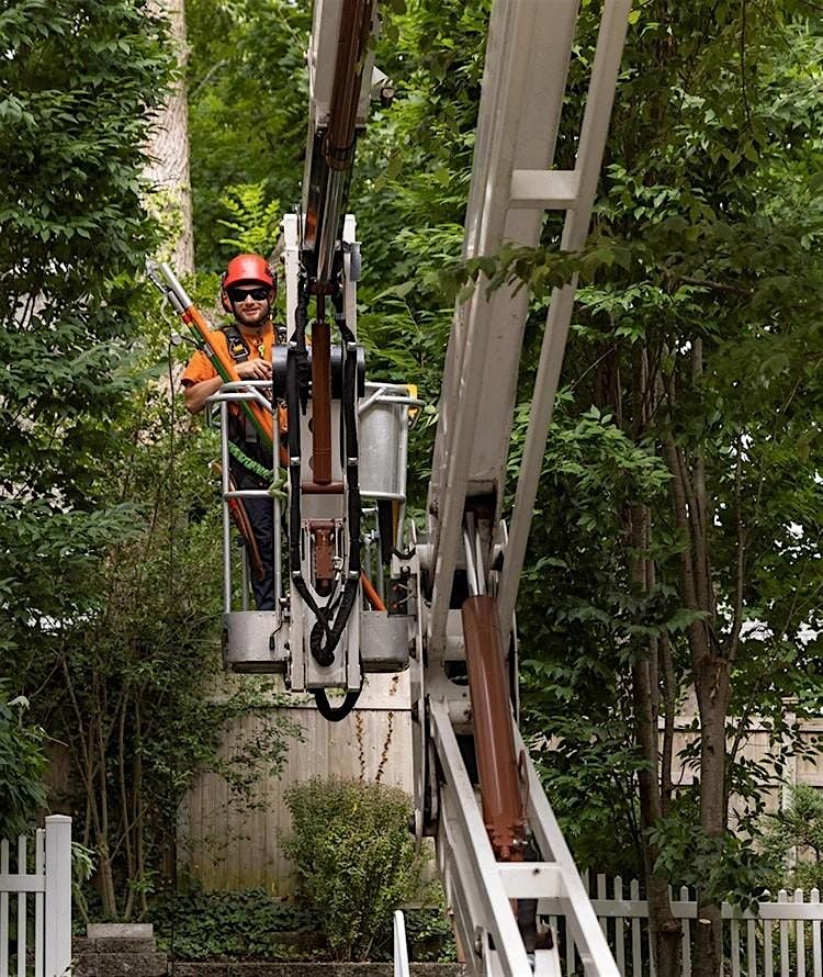 Tree Pruning & Climbing with Wonderland Tree Care & Landscapes, 19 July | Event in Mattituck | AllEvents
