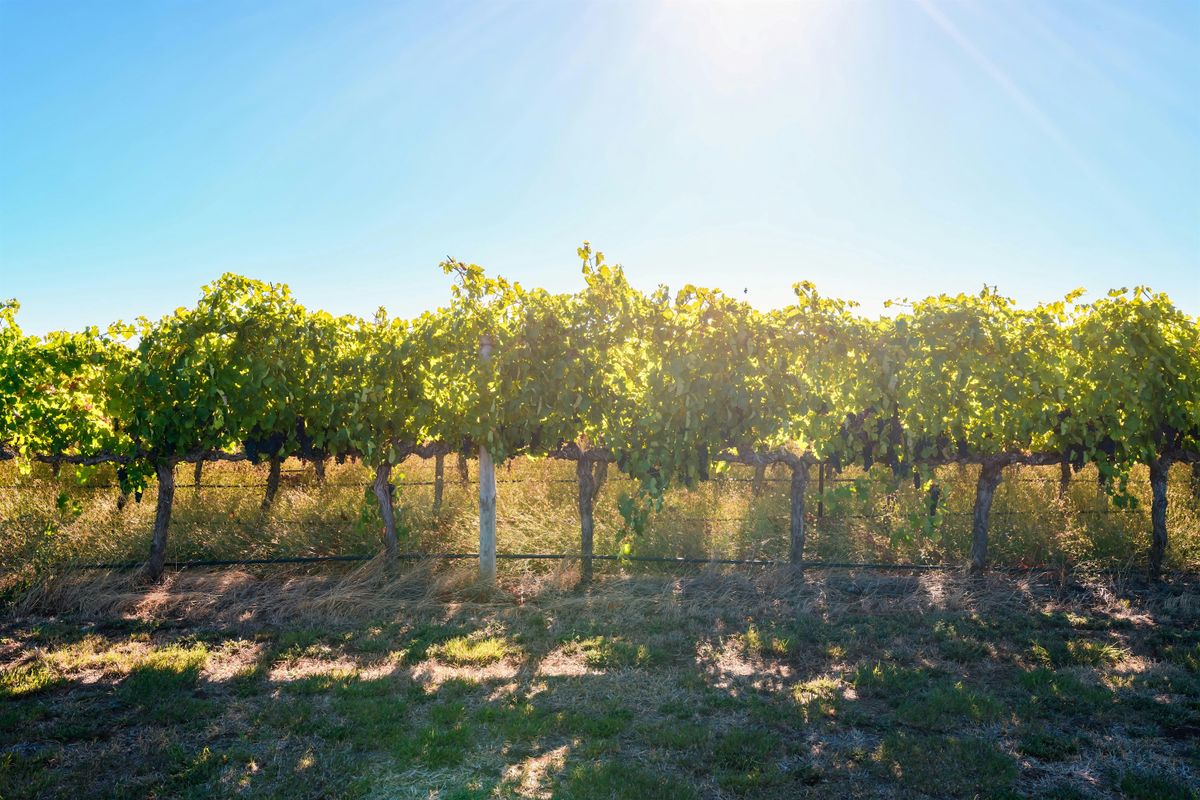 USDA Natural Resources Conservation Service (NRCS) Local Work Group Meeting, 3 September | Event in Napa | AllEvents
