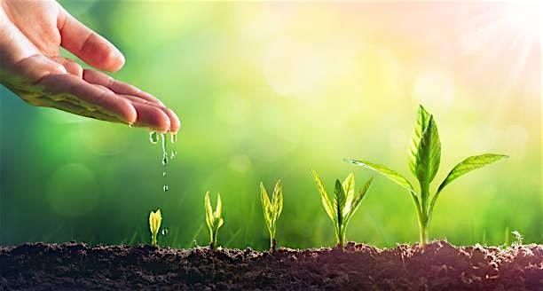 Lanee Heals See Your Seed Grow Workshop, 25 May | Event in Los Angeles | AllEvents