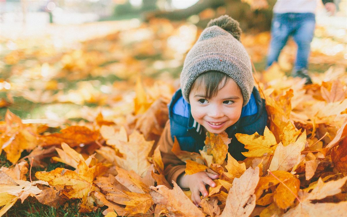 Wee Wednesday - Getting Ready for Winter, 19 November | Event in Rochester | AllEvents
