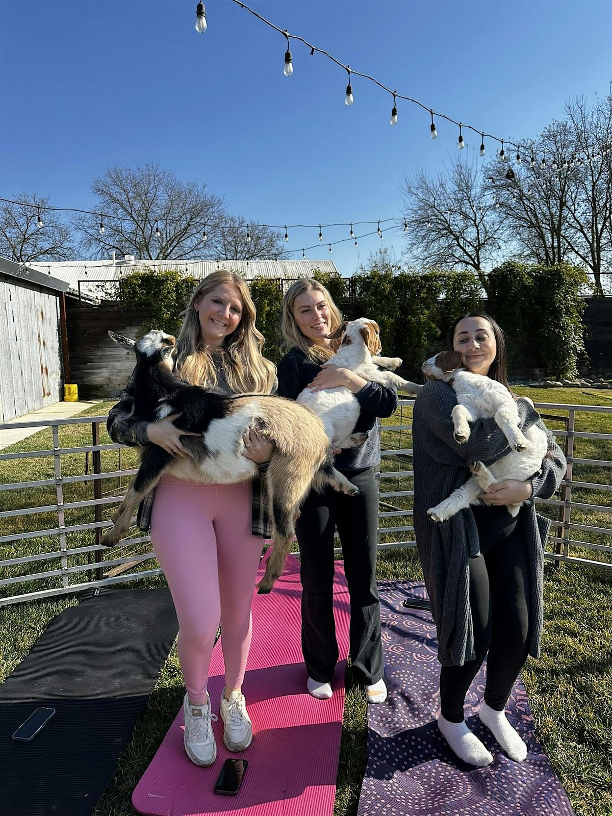 NO-GA - No Yoga, Just Goats!, 18 May | Event in Galt | AllEvents