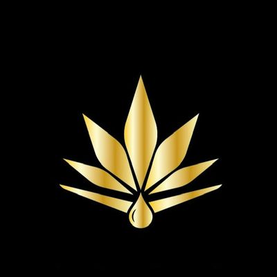 Bloom & Blaze