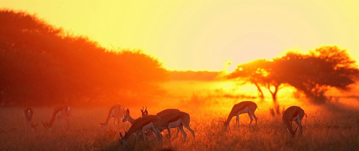 Care of Creation Celebration, 26 July | Event in Madison | AllEvents