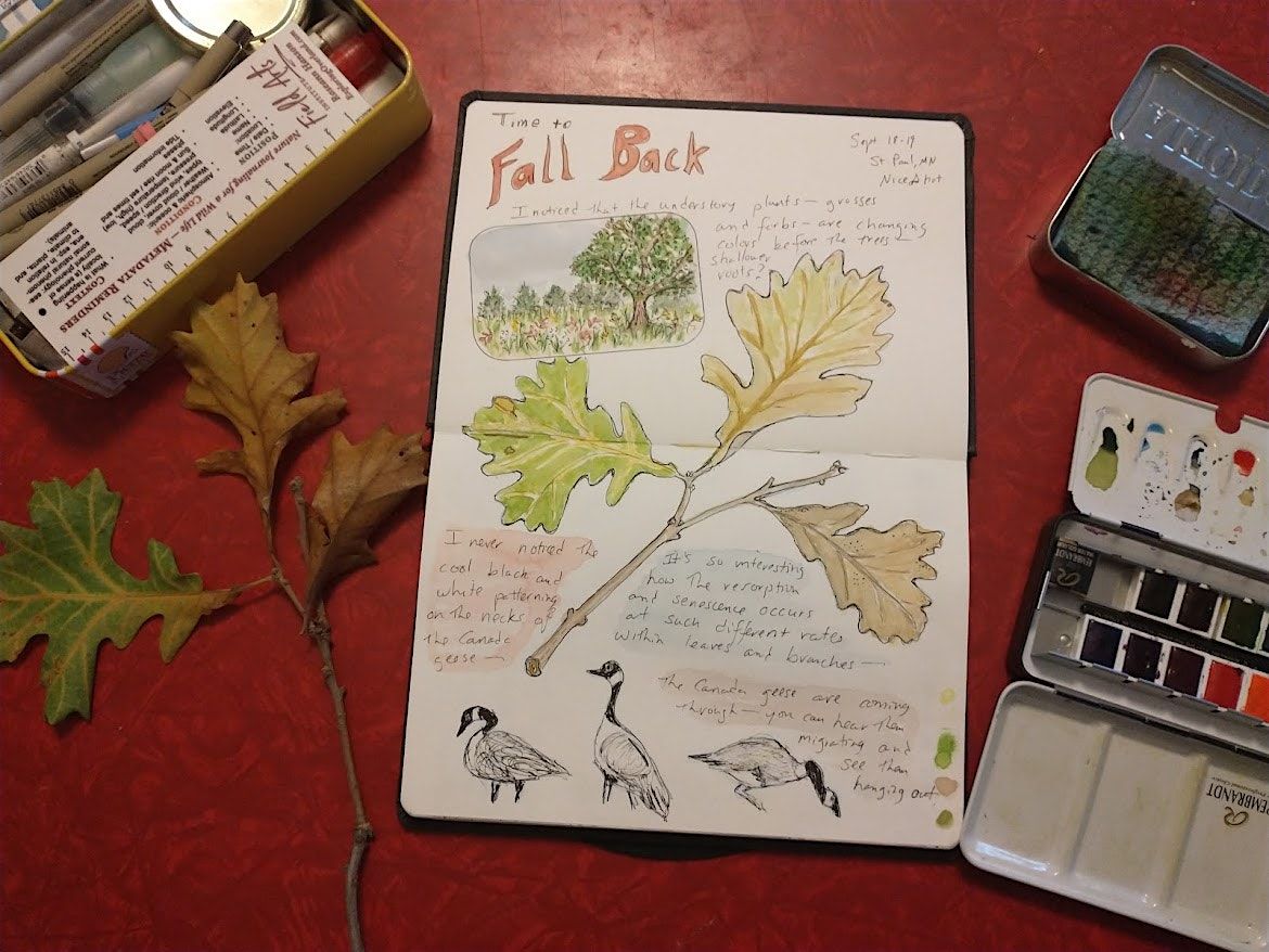 Nature Journaling: A Drop-in Session at the Bell, 8 November | Event in Saint Paul | AllEvents