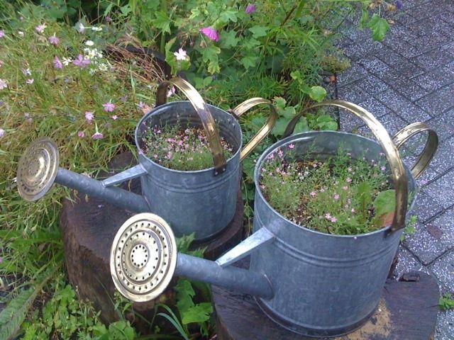 おうちガーデニング 春編 オーガニック栽培でハーブを育てる トトラボ At ヴィヴォの家 オンライン Yokohama April 27 22 Allevents In おうちガーデニング 春編 オーガニック栽培でハーブを育てる トトラボ At ヴィヴォの家 オンライン Yokohama April 27 22 Allevents In