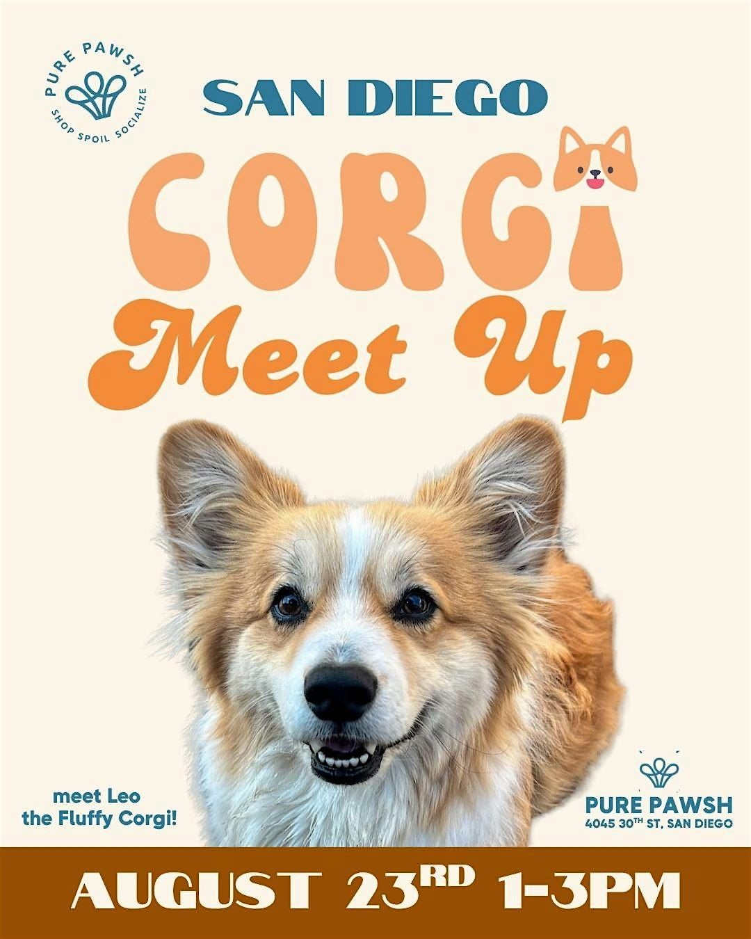 Corgi Meetup, 23 August | Event in San Diego | AllEvents