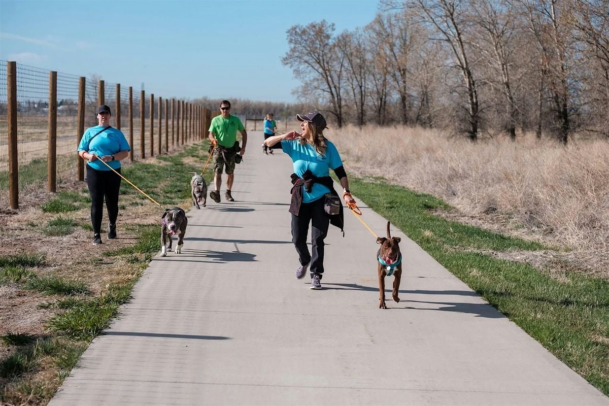 Walk and Wag, 16 July | Event in Brighton | AllEvents