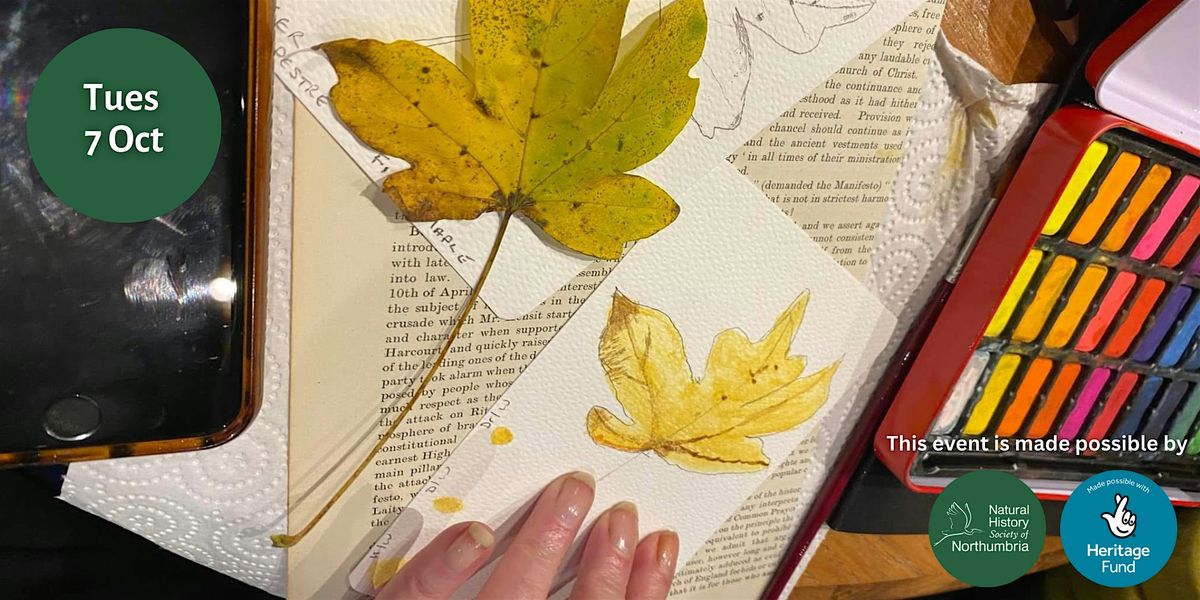 Guided Nature Walk & Autumn Sensory Journaling, 7 October | Event in Gosforth | AllEvents