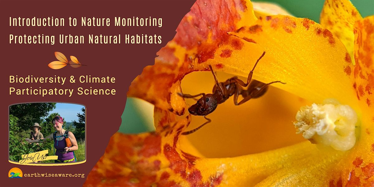 Introduction to Nature Monitoring in the City, 9 August | Event in Somerville | AllEvents