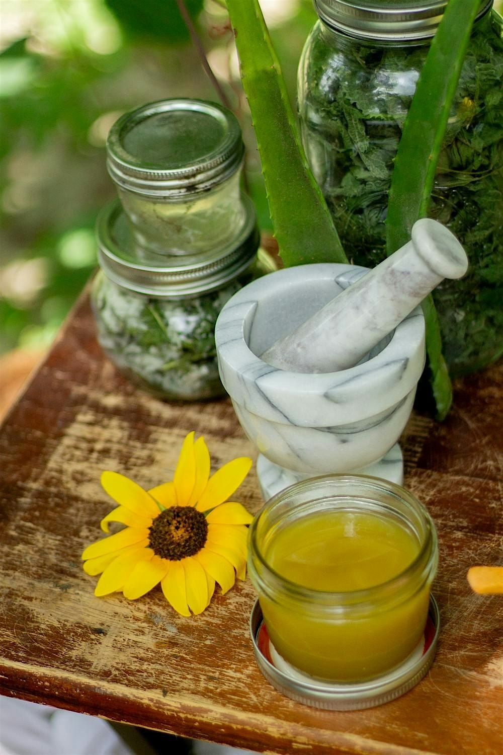 DIY Salves & Soaks  in College Park, 22 June | Event in College Park | AllEvents