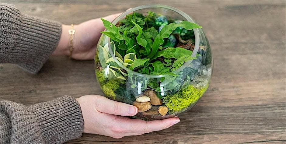 Make-n-Take : Terrariums at Mahoney's Concord, 9 August | Event in Concord | AllEvents